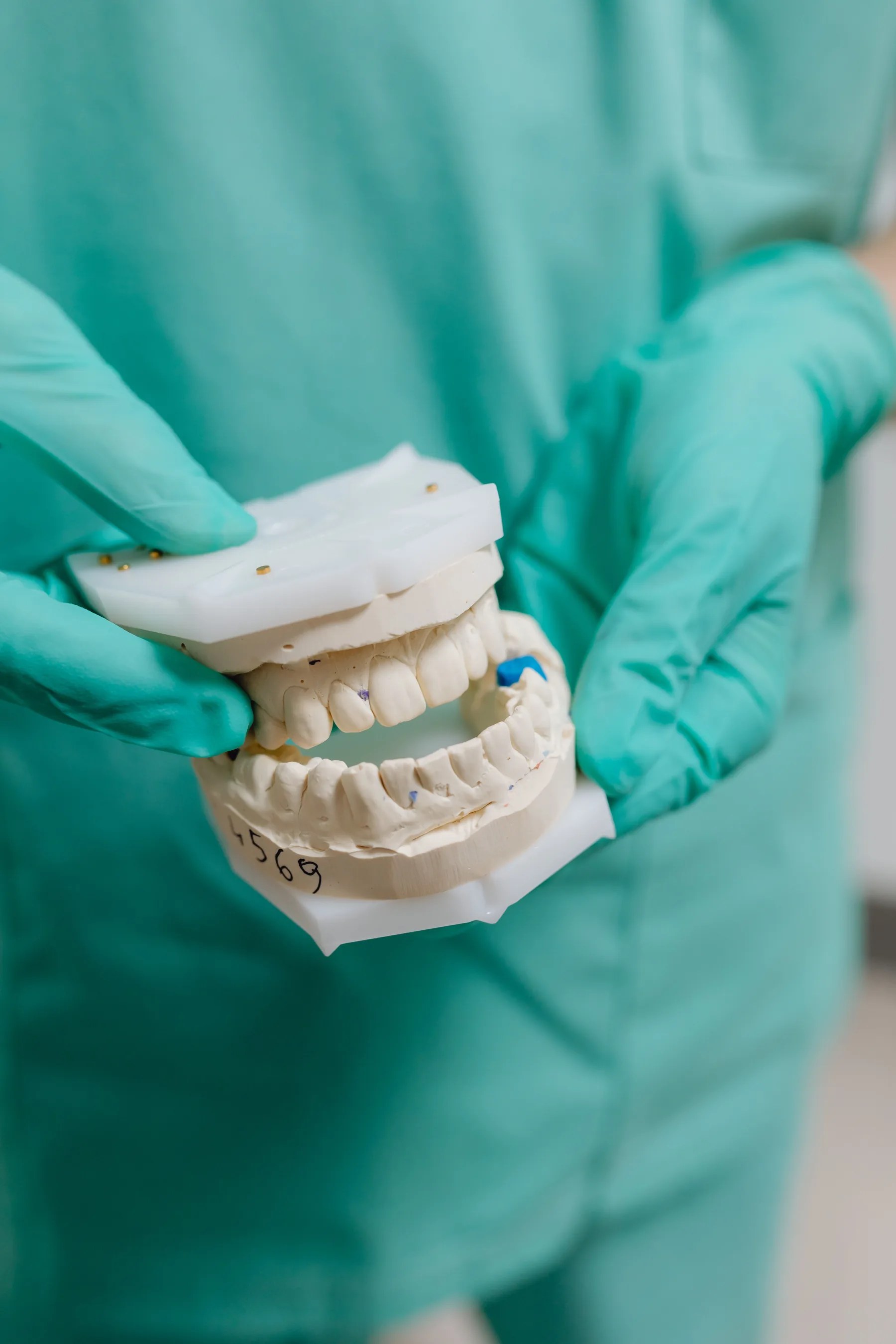 Specialist holding a dental model